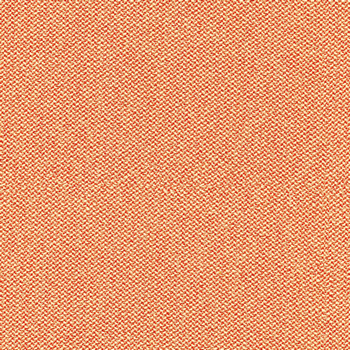 camira-era-cse25.jpg
